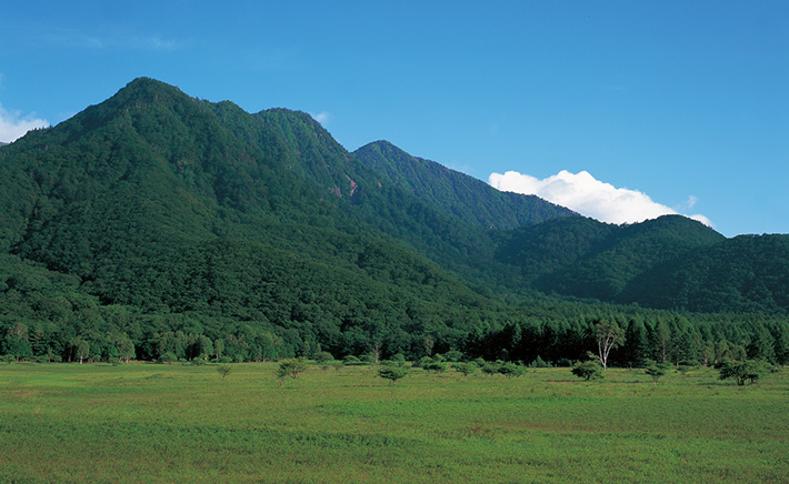 小田代原
