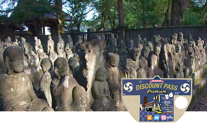 KAWAGOE DISCOUNT PASS Premium