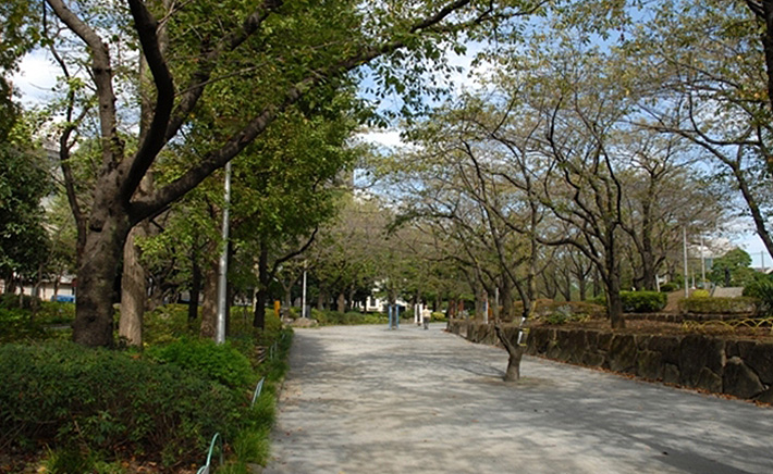 Sumida Koen Park