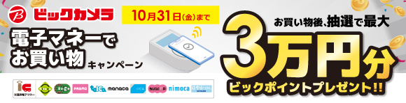PASMO電子マネーキャンペーン（ビックカメラキャンペーン）