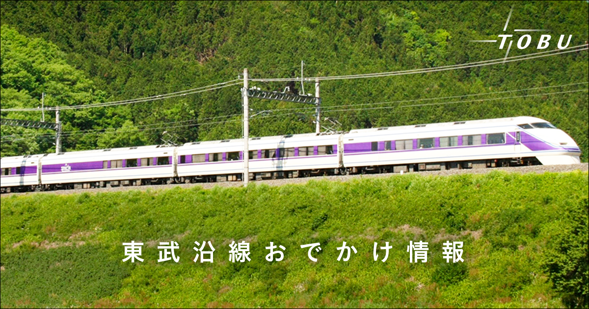 東武健康ハイキングスケジュール一覧：東武鉄道沿線のハイキング・ウォーキングのご案内、数多くの自然や名所、そして春・夏・秋・冬、四季折々の素晴らしい顔を持つ東武線沿線のハイキング・ウォーキング…