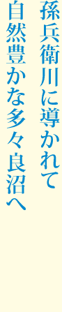 “孫兵衛川に導かれて自然豊かな多々良沼へ