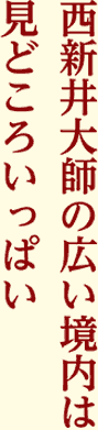 西新井大師の広い境内は見どころいっぱい