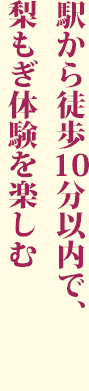 駅から徒歩10分以内で 梨もぎ体験を楽しむ