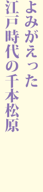 よみがえった 江戸時代の千本松原