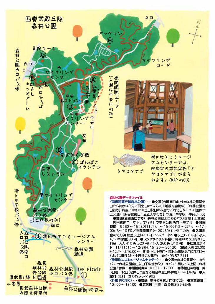 森林公園MAP