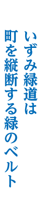 いずみ緑道は町を縦断する緑のベルト