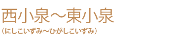 国際タウンの大泉町は賑やかな夏まつりの季節