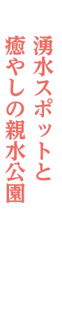 湧水スポットと　癒やしの親水公園