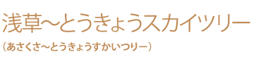 隅田川から仰ぎ見る 光の舞いは冬の夜空へ