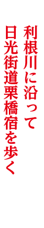 利根川に沿って日光街道栗橋宿を歩く