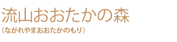 発展と進化を続ける 都心に近い森の街