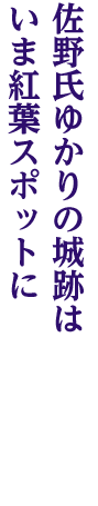 佐野氏ゆかりの城跡はいま紅葉スポットに