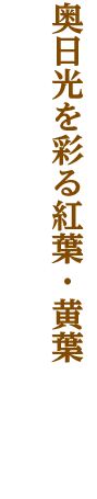 東武日光