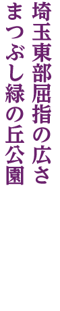 北越谷～松伏町