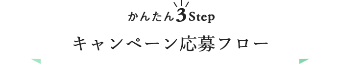 かんたん3step キャンペーン応募フロー