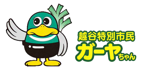 ガーヤちゃん