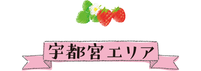 宇都宮エリア