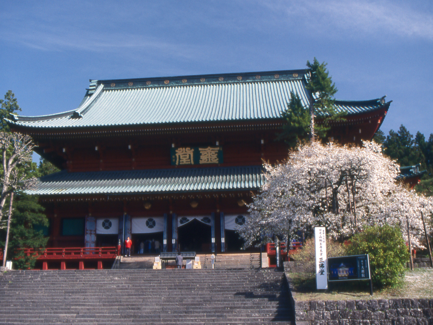 Nikkozan Rinnoji Temple