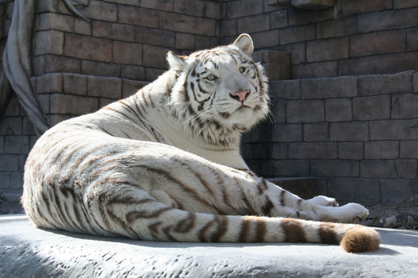 東武動物公園