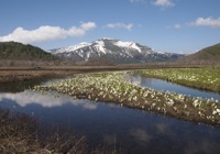 Oze National Park