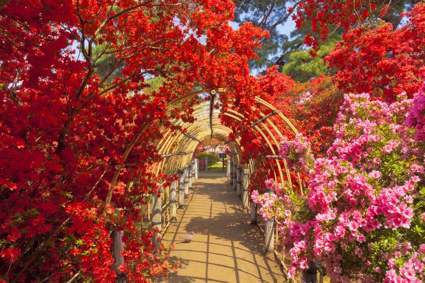 Tsutsujigaoka Park