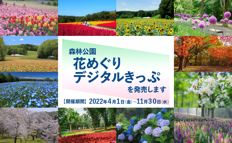 季節のお花が咲く広大な公園へ!森林公園花めぐりデジタルきっぷを発売いたします