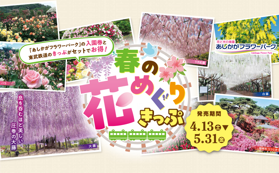 「あしかがフラワーパーク」の入園券と東武鉄道のきっぷがセットでお得　春の花めぐりきっぷ