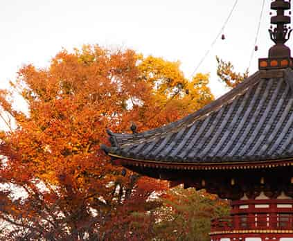 Kita-in Temple