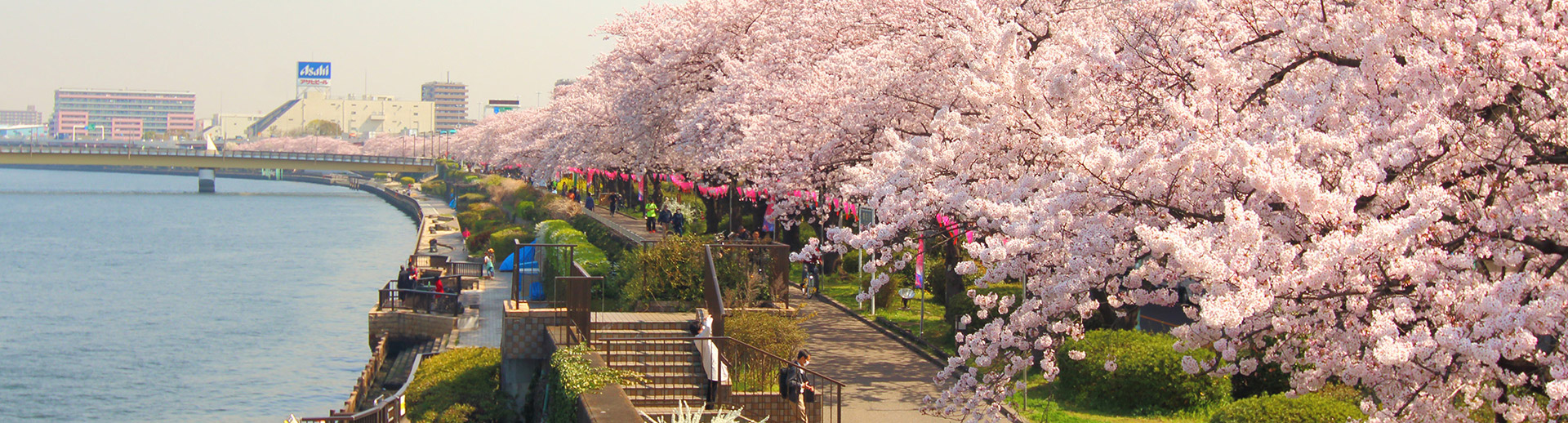 A trip from Access to Nikko, a World Heritage Site