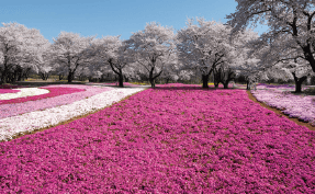 東武珍寶園