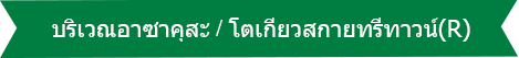 บริเวณอาซาคุสะ / โตเกียวสกายทรีทาวน์