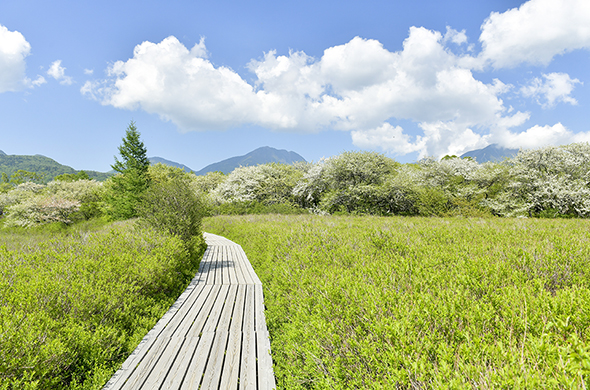 จุดชมวิวเซ็นโจงะฮะระ