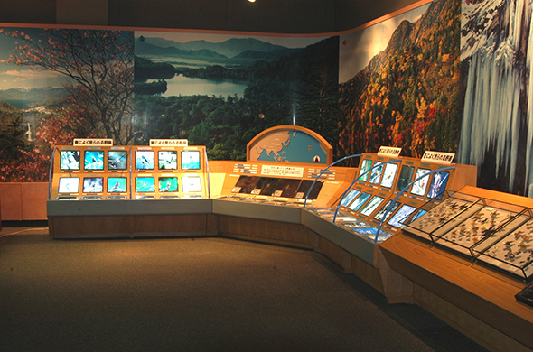 พิพิธภัณธ์ธรรมชาตินิกโก