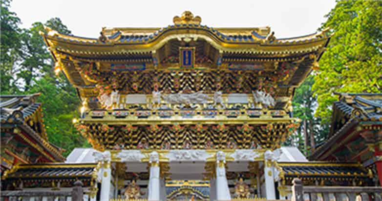 MAGNIFICIENT NIKKO