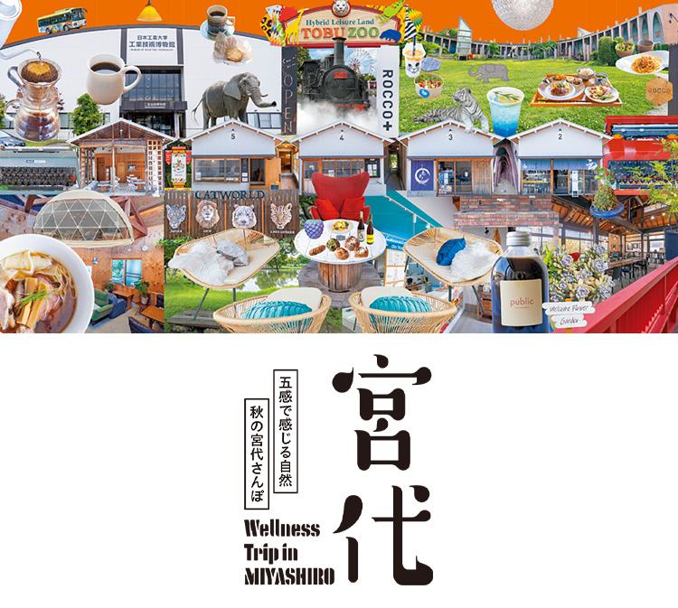 五感で感じる自然 秋の宮代さんぽ