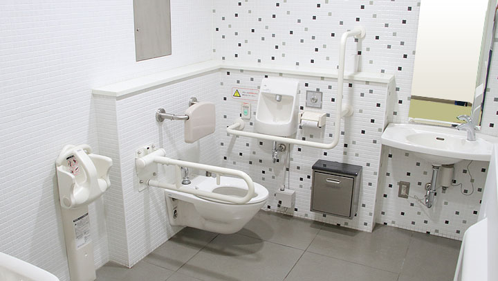 multi-function toilets