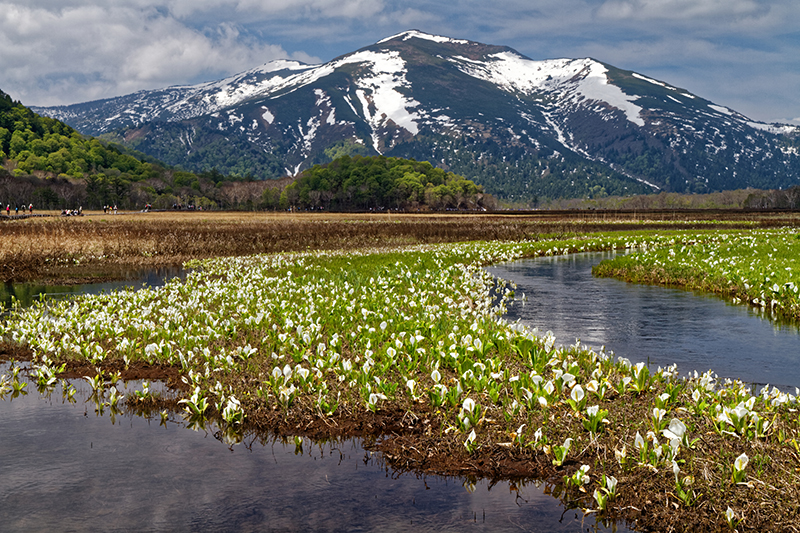 ハイカーや山ガールのあこがれの地「遥かな尾瀬」