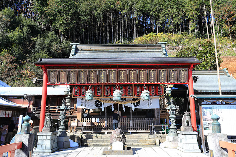 見晴らしとあじさいが魅力。歴史も深い「太平山」の楽しみ方