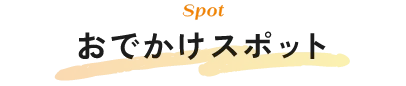 スポット