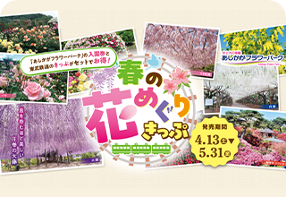 「あしかがフラワーパーク」の入園券と東武鉄道のきっぷがセットでお得　春の花めぐりきっぷ