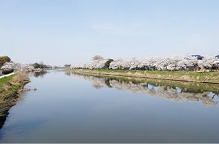 藤の牛島駅