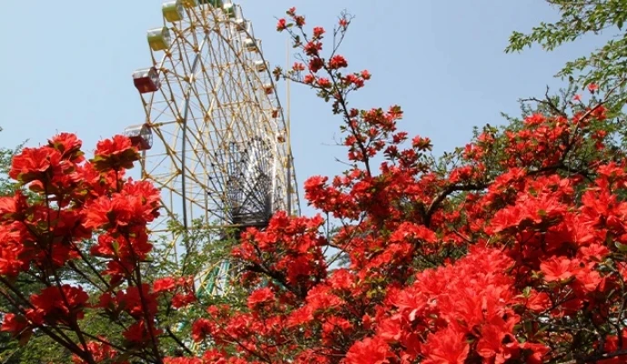 華蔵寺公園