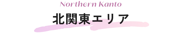 北関東エリア