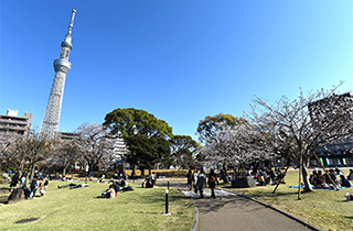 隅田公園