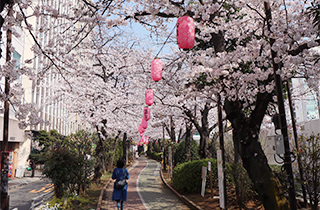 亀戸緑道公園