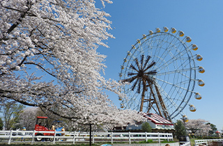 東武動物公園