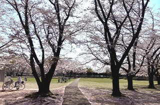 杉戸西近隣公園