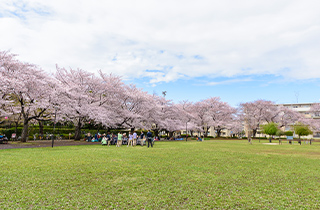 花畑公園