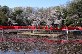 岩槻城址公園